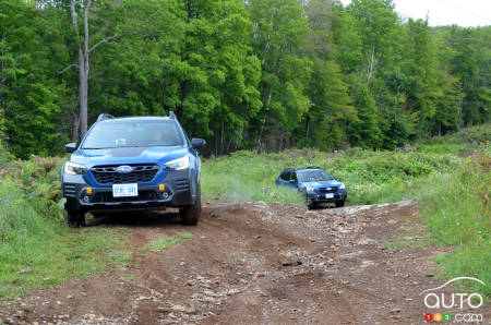 2022 Subaru Outback Wilderness, in the woods